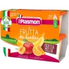 Plasmon Omogeneizzati Di Frutta Sapori Di Natura Frutta Mista 4X100 G +6M
