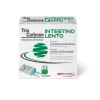 Pool Triocarbone Intestino Lento Integratore 10 Bustine Gonfiore