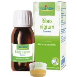 Ribes Nigrum Macerato Glicerinato 60Ml
