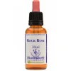 Rock Rose Essenza 30 Ml 1 Pezzo