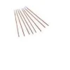 Safety Tamponcino Cotonato Monouso Per Pap Test 1 Pezzo
