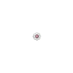 Sanico Orecchino Sterile Bjt713 Sts Rose Flower Gioielli Ed Accessori