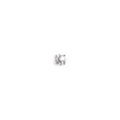Sanico Srl Orecchini Inverness Titanio Zircone Medio Cubico 592