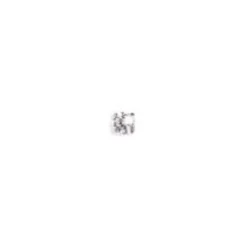 Sanico Srl Orecchini Inverness Titanio Zircone Medio Cubico 592