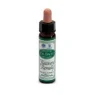 Santiveri Sa Ainsworths Flower Remedy Set40 Omeopatia