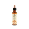 Schwabe Fiori Di Bach 02 Aspen Gocce 20 Ml