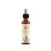 Schwabe Fiori Di Bach Heather Orig Gocce 20 Ml
