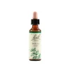 Schwabe Fiori Di Bach 15 Holly Gocce 20 Ml