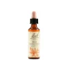 Schwabe Fiori Di Bach Red 25 Chestnut Gocce 20 Ml