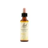 Schwabe Fiori Di Bach 35 Wild Oat Gocce 20 Ml
