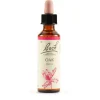 Schwabe Pharma Italia Oak Bach Orig 20 Ml