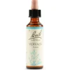 Schwabe Pharma Italia Vervain Bach Orig 20 Ml