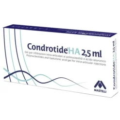 SIRINGA INTRA-ARTICOLARE CONDROTIDE HA POLINUCLEOTIDI 2% 2,5ML