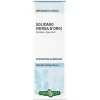 Solidago Tintura Idroalcolica 50 Ml Ebv