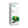 Specchiasol Boldo 33 Tintura Madre 50 Ml