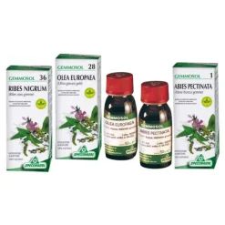 Specchiasol Gemmosol 42 Sequoia Gemmoderivato 50 Ml