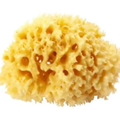 Spugna Mare Naturale Arcipelago 24 Cm