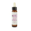 Star Bethlem Cemon Flower Essences Stock Bottle 10 Ml