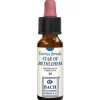 Star Of Bethlehem 10 Ml Gocce