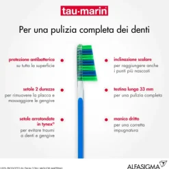 Tau-Marin Spazzolino Scalare 33 Medio Antibatterico Normali