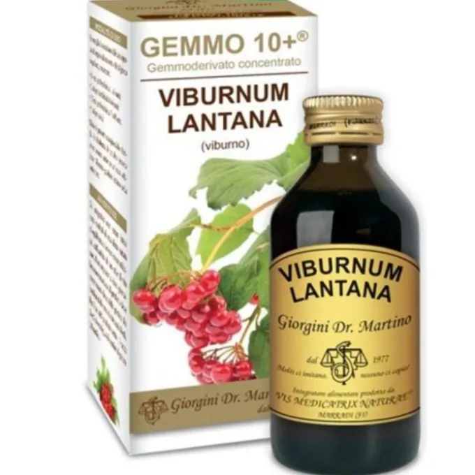 Viburno Liquido Analcolico Gemmo 10+ 100 Ml