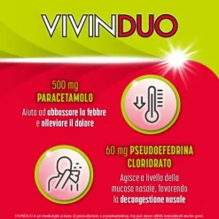 Vivinduo Febbre E Cong.