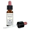 Walnut Original Gocce 10 Ml Omeopatia
