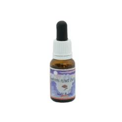 Well Being Essenza 15 Ml 1 Pezzo