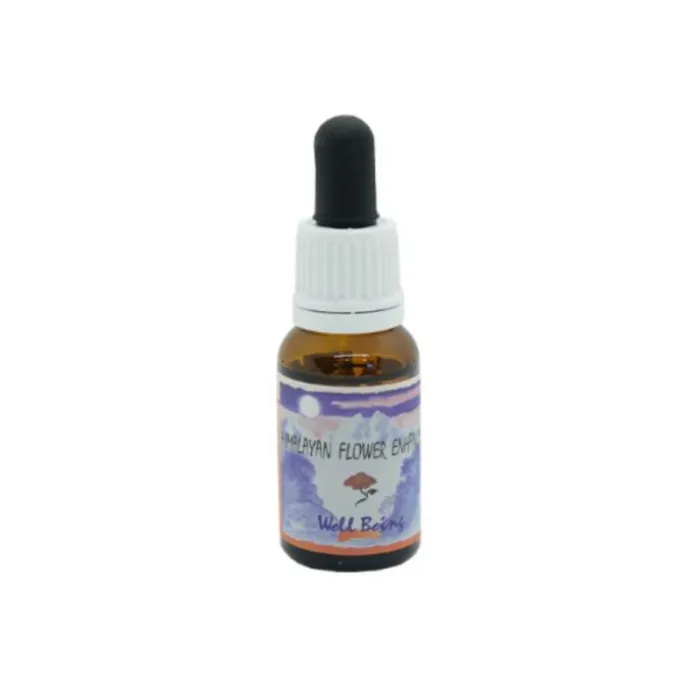 Well Being Essenza 15 Ml 1 Pezzo