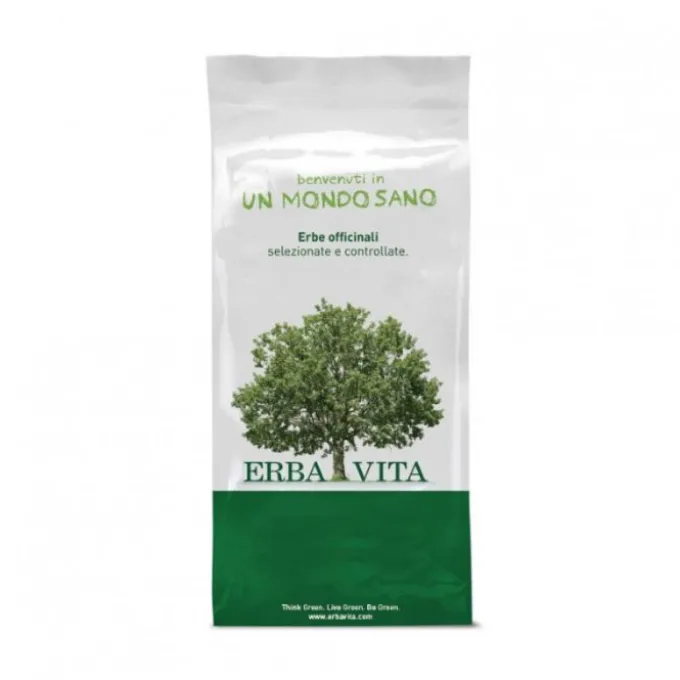 Zenzero Polvere Rizoma 100 G